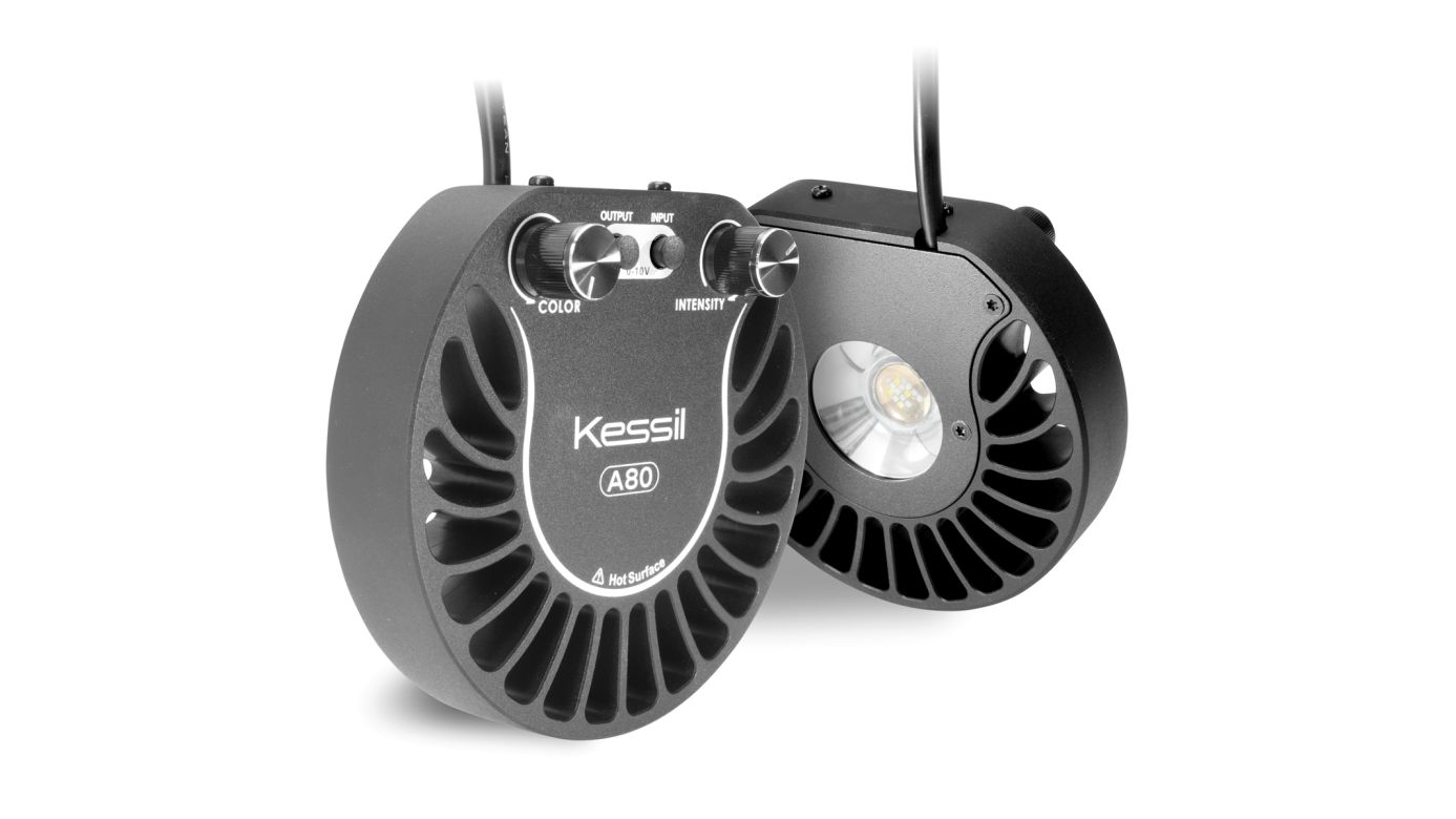 Kessil A80 Tuna Blue (Marine) (max. 15 W)