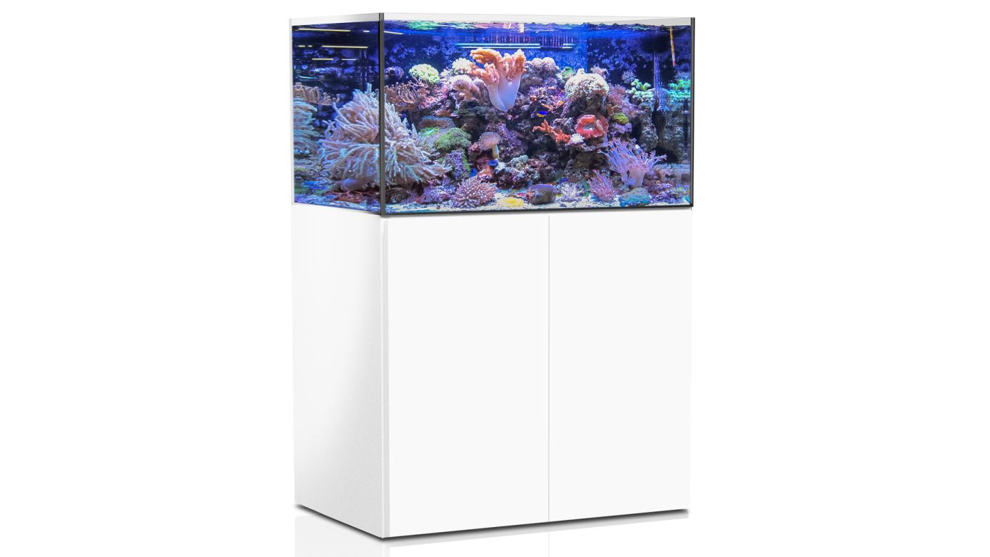 Aqua Medic Armatus 375 XD weiß 100x65x55 cm