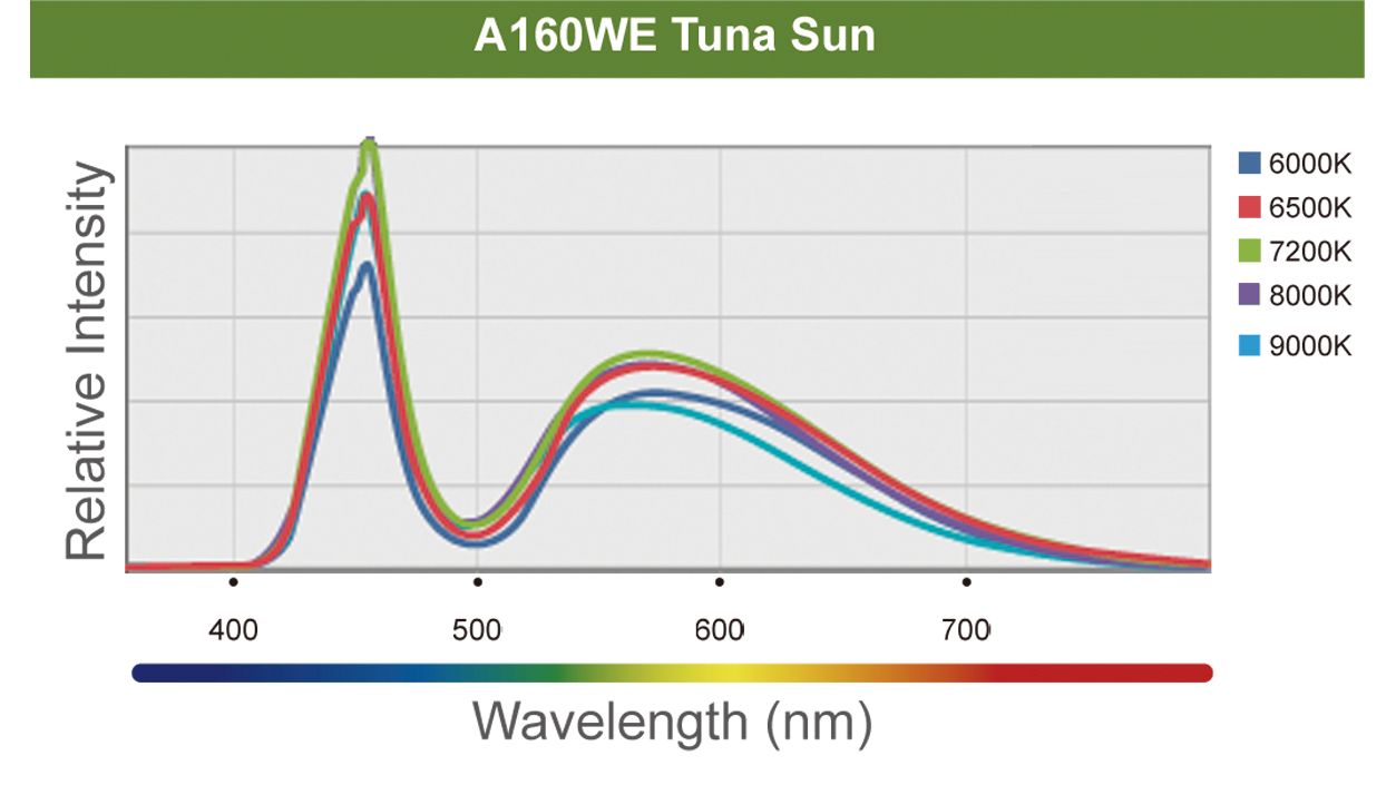 Kessil A160WE Tuna Sun (Süßwasser/Freshwater) LED (max. 40 W)