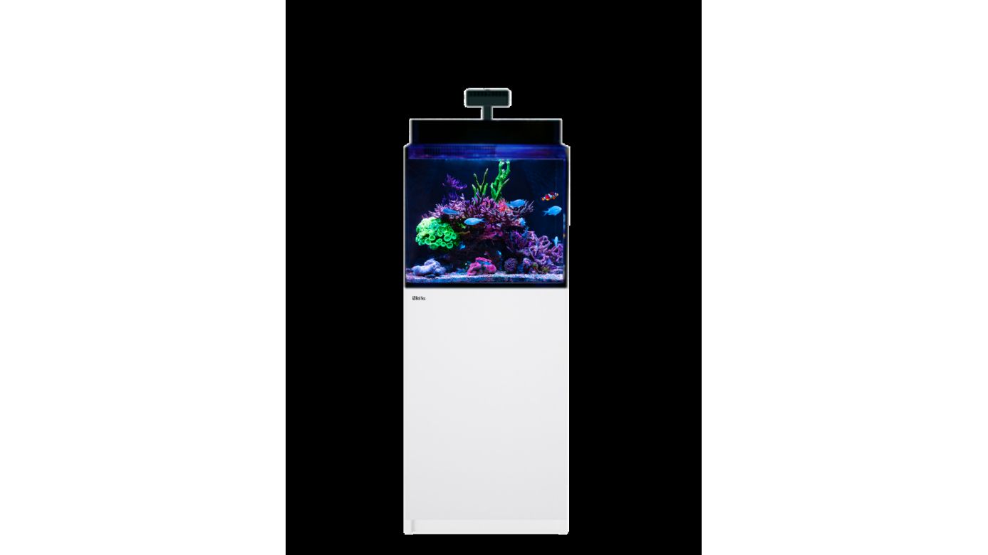 Red Sea MAX NANO G2 XL inkl. weißer Unterschrank (R40081G2)