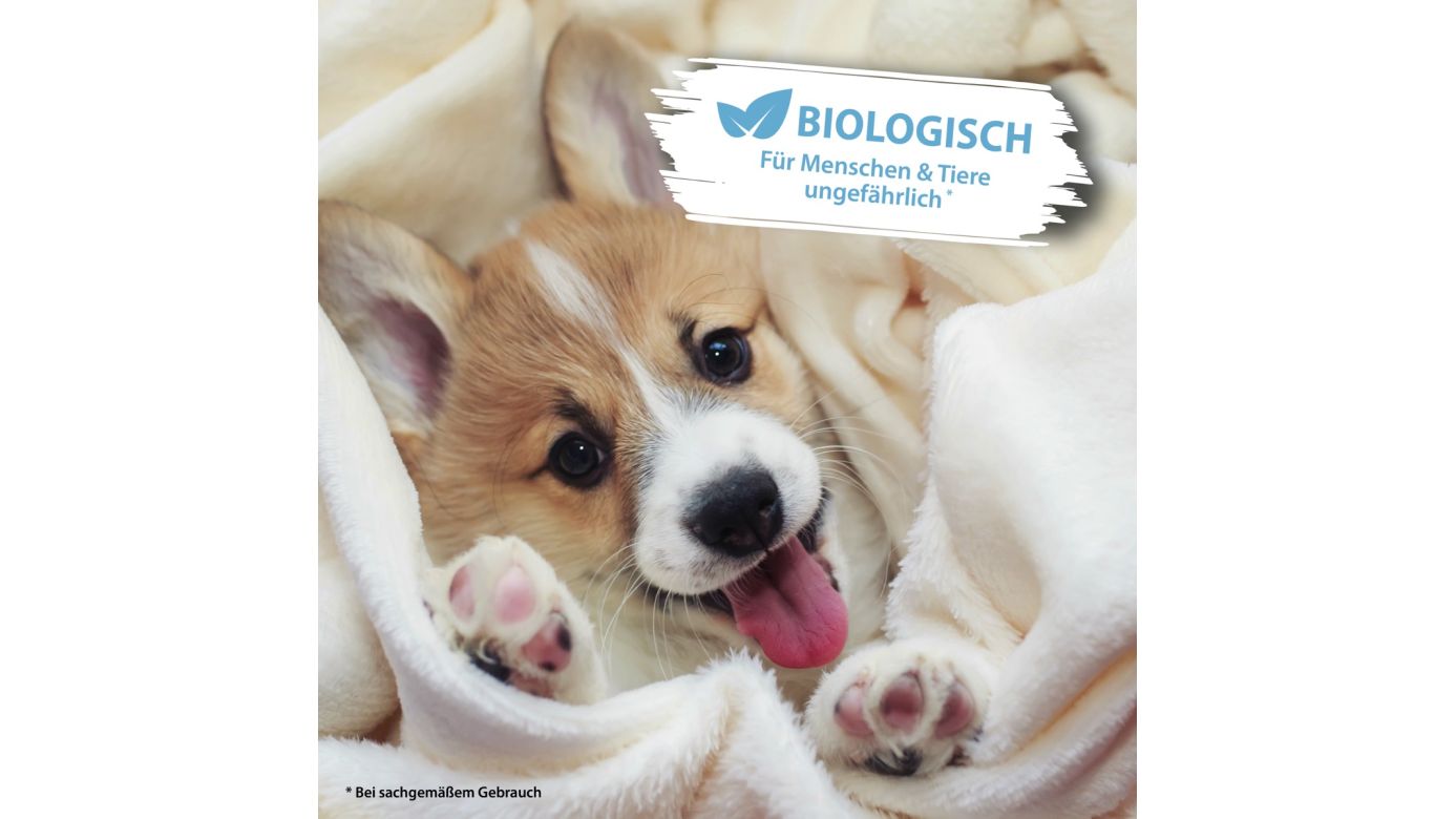 ARKA Pipi-Weg Urin- und Fleckenentferner Hund 750 ml