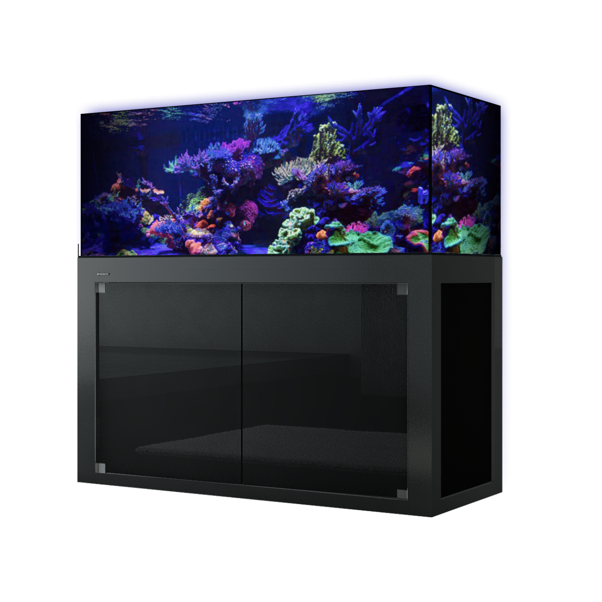 Giesemann LINEA 85/160 Aquarium complete 160x60x55cm