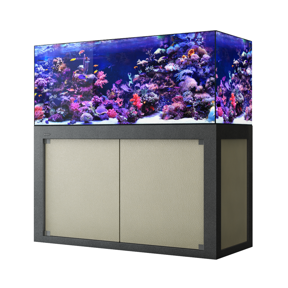 Giesemann LINEA 85/160 Aquarium 160x60x55cm