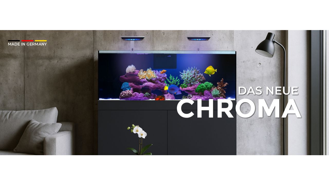 *NEU* Giesemann CHROMA 400 Marine 120x60x55cm CHROMA Dekor Holz - Taupe soft