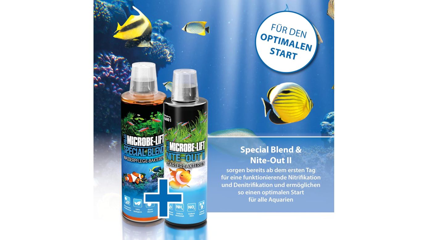 Microbe-Lift Special Blend Wasserpflege Bakterienmischung 3,79 l