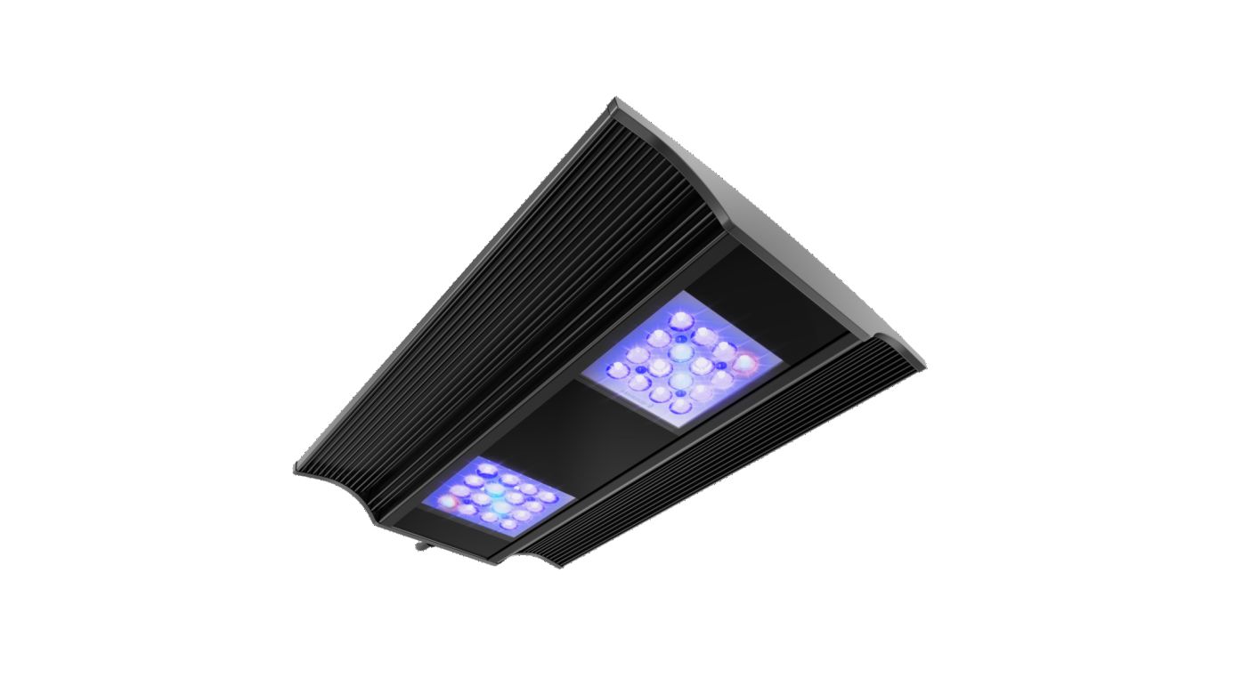 Giesemann VERVVE pro marine irridium metallic (160 W)