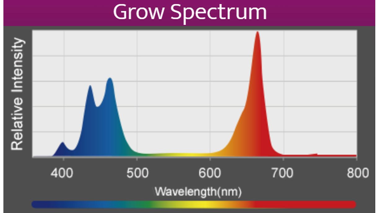 Kessil A360X Refugium LED (max. 90 W)