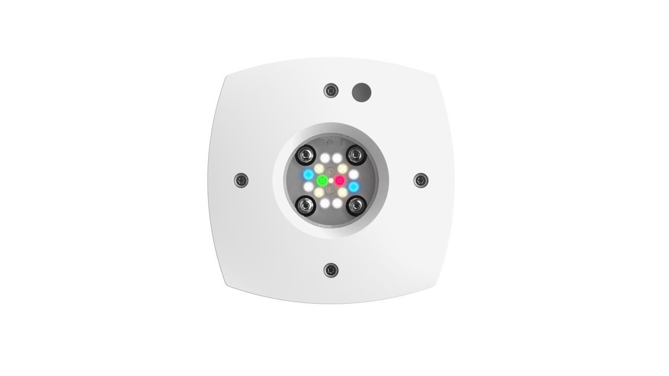 AI Prime 16HD Freshwater weiß