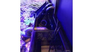 D-D Reef-Pro 900 Driftwood Concrete Aquariumsystem 90x60x46cm