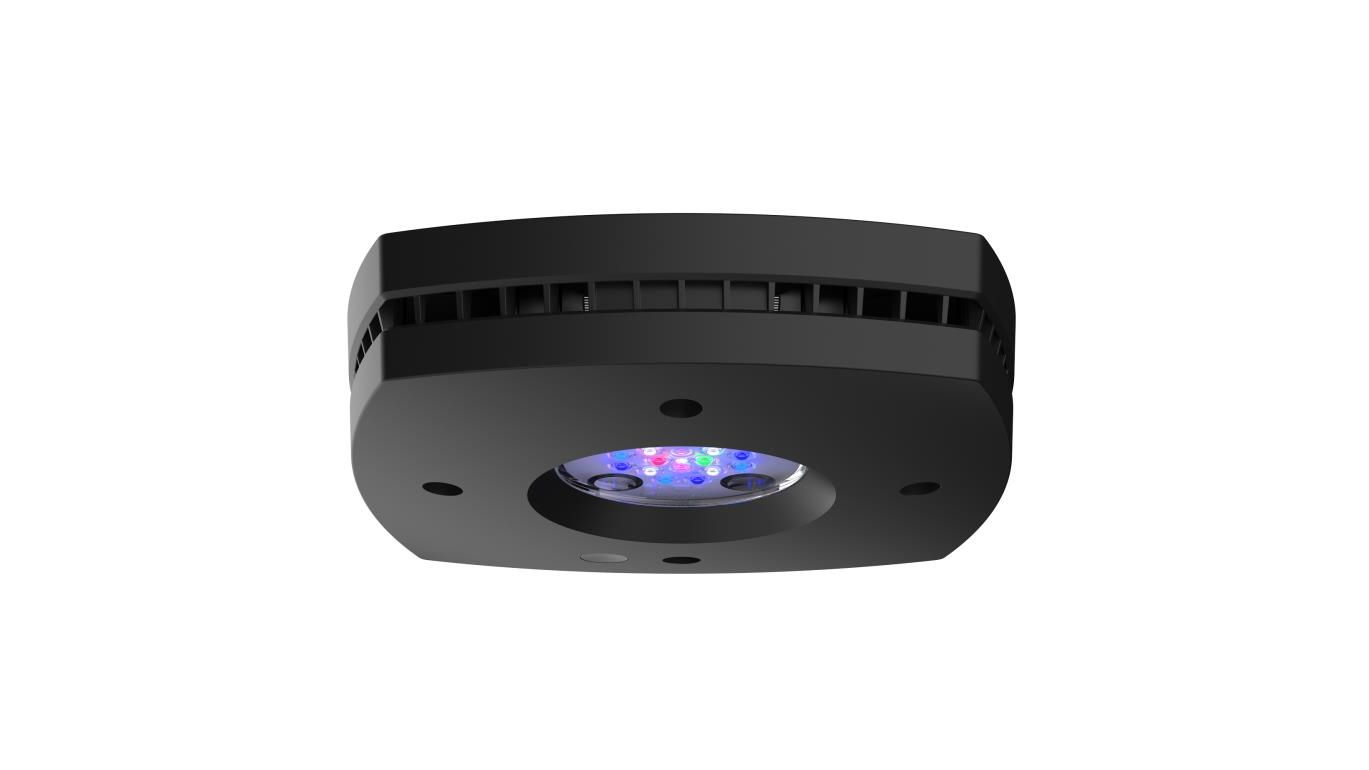 AI Prime 16HD Reef LED schwarz (55 W)