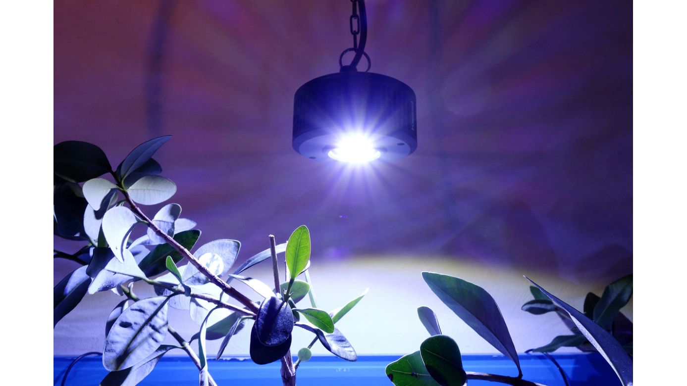 Kessil A360XE Tuna Blue (max. 90 W)