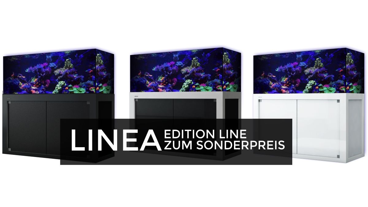 Giesemann LINEA 85/160 Aquarium 160x60x55cm Ohne Leuchten Eigene Farbkombination Titan soft Feinstruktur (+ Aufpreis) Glas hochglanz creme