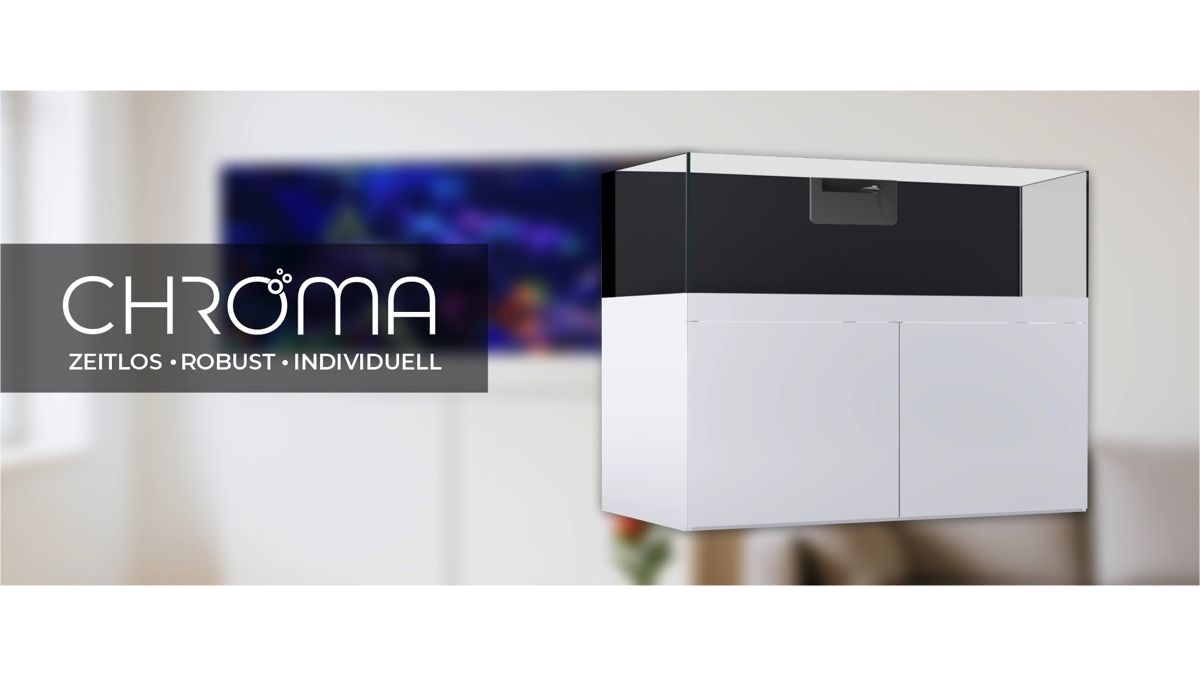 *NEU* Giesemann CHROMA 500 Marine 160x60x55cm CHROMA Dekor Holz - Jetblack matt