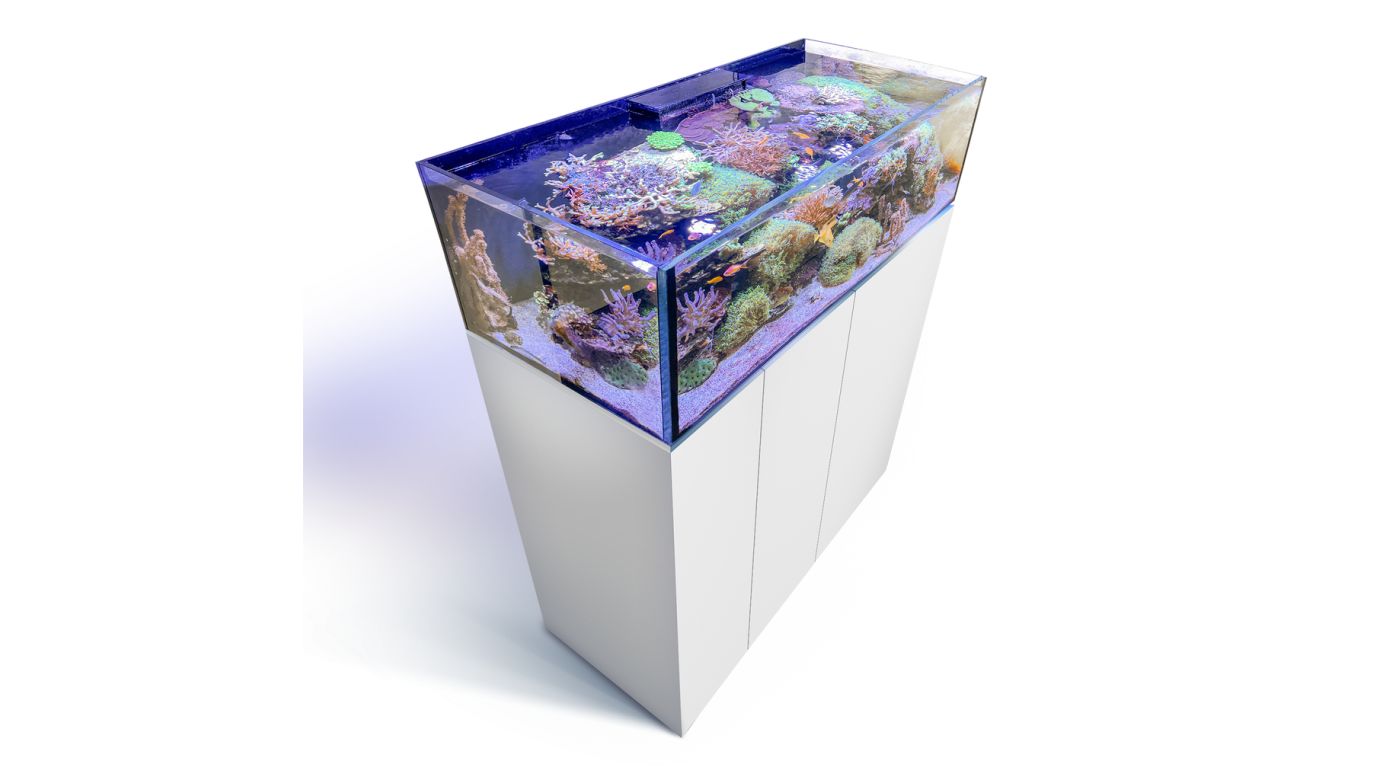 Aqua Medic Armatus Lagoon 400 weiß 150x65x40 cm