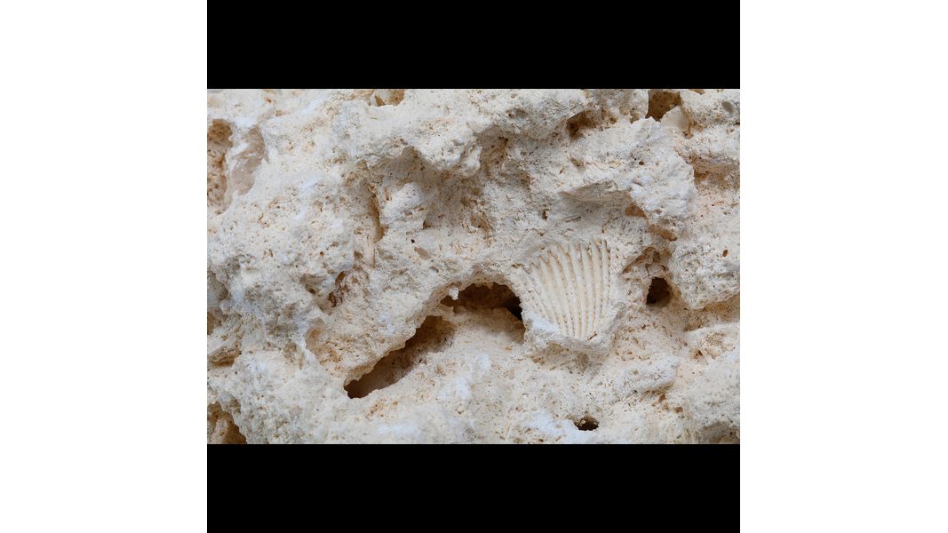 CaribSea South Seas Base Rock 18 kg