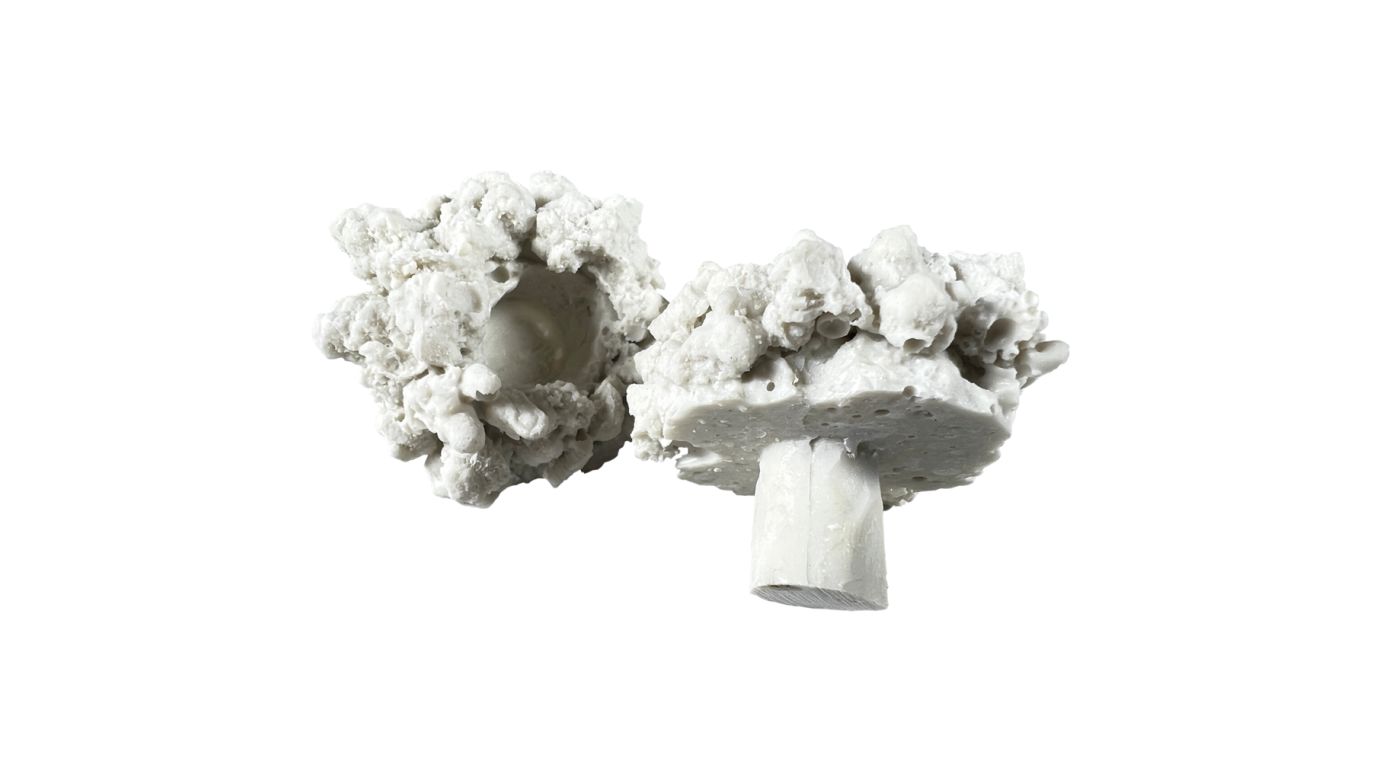 *NEU* Aqua Medic coral pins Ablegersteine (10 St.)