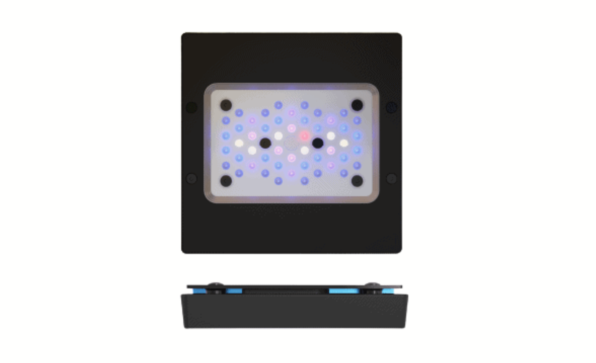 Ecotech Marine Radion XR15 G6 Blue LED