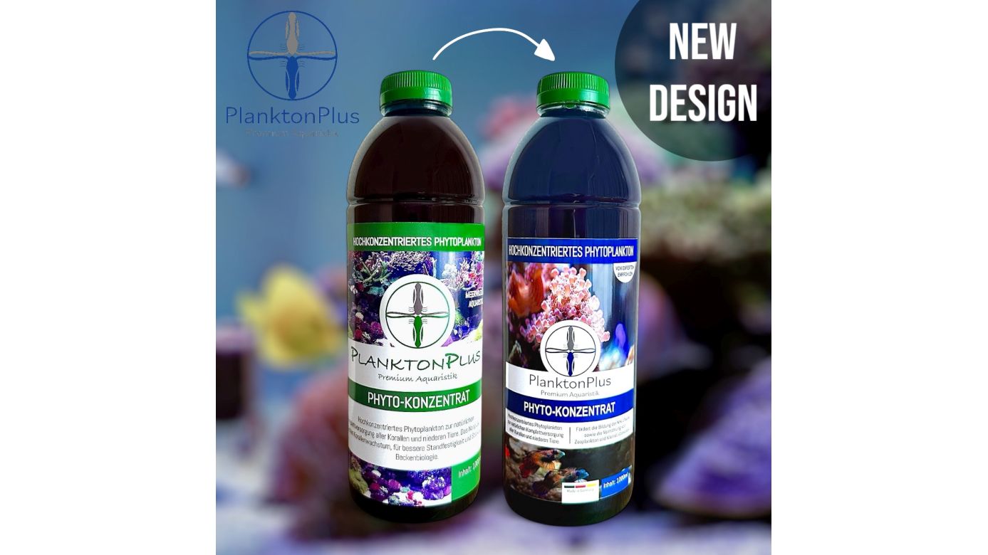 PlanktonPlus Phytoplankton Phyto-Konzentrat 1 Liter