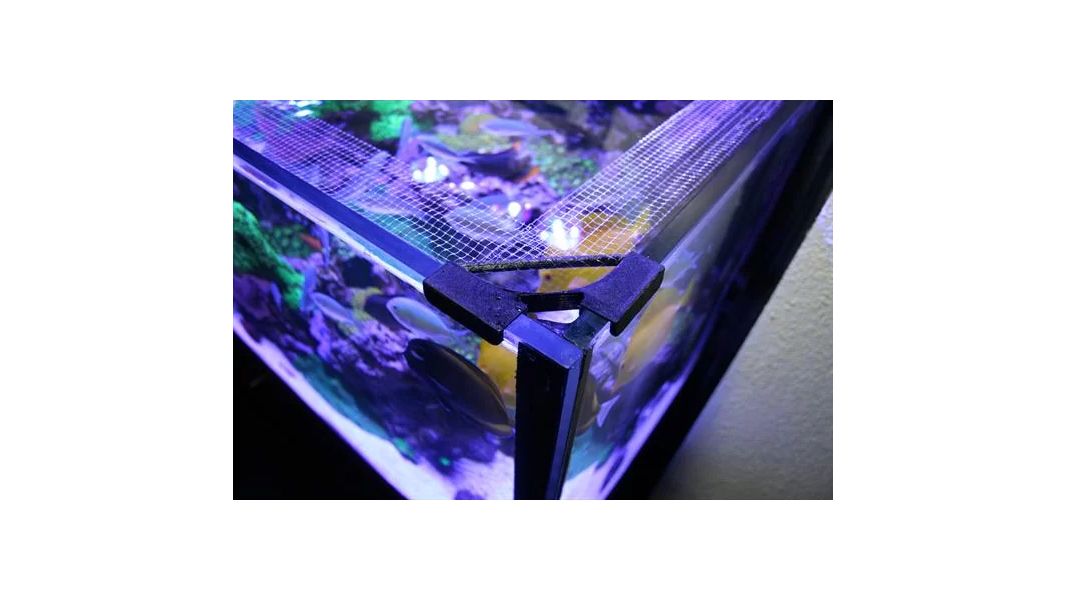 Bananaquarium Fishguard