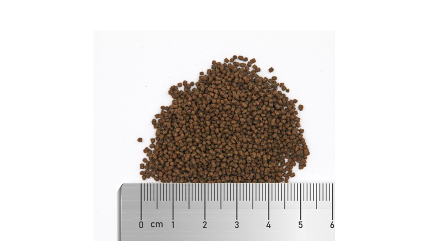 Fauna Marin Soft Spirulina M Granulatfutter 63 g