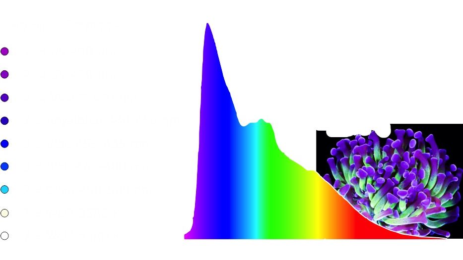 Giesemann STELLARIS pro marine 600 mm polarweiß (160 W)