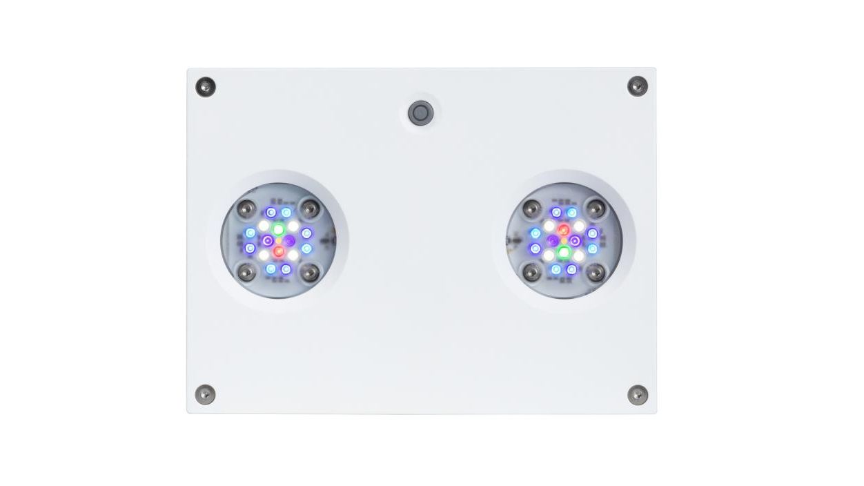 D-D Reef-Pro 1200 D-LUX White Gloss Aquarium inkl. Beleuchtung, Riffaufbau, Salz