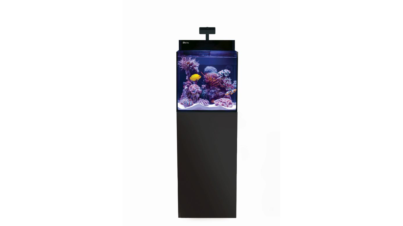 Red Sea MAX NANO G2 Cube inkl. schwarzer Unterschrank (R40000G2)