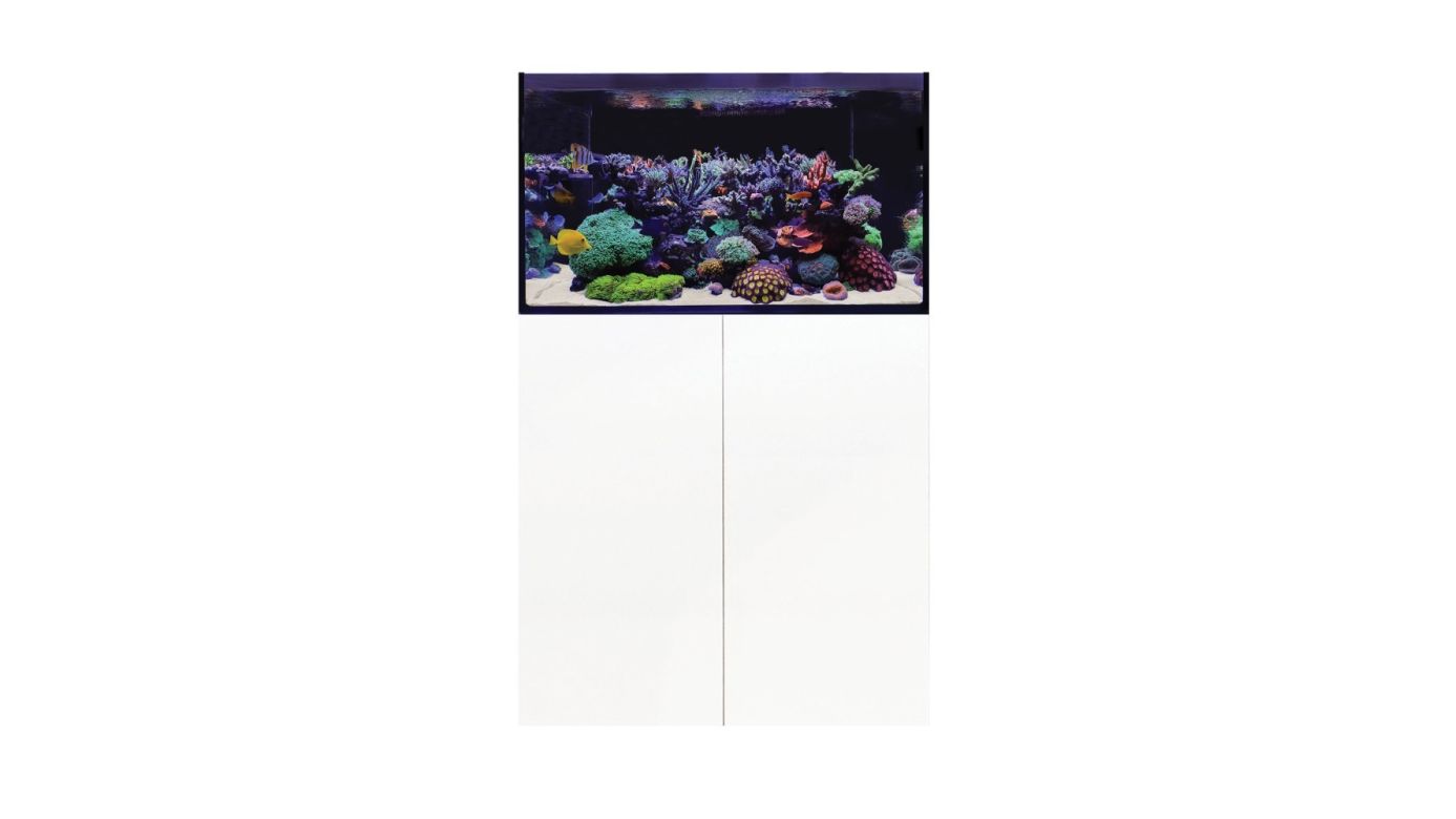 D-D AQUA-Pro Reef 900 White Gloss 90x50x56cm Aquariumsystem mit Holzschrank