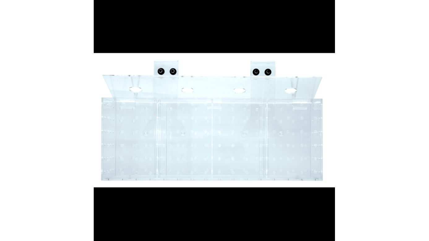 Grotech Akklimatisierungsbox 4-Kammern