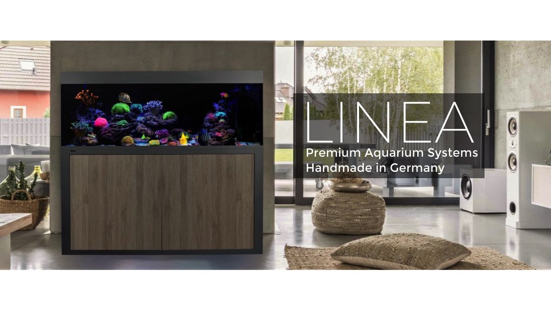 Giesemann LINEA 85/160 Aquarium 160x60x55cm Ohne Leuchten Eigene Farbkombination Titan soft Feinstruktur (+ Aufpreis) Glas hochglanz creme