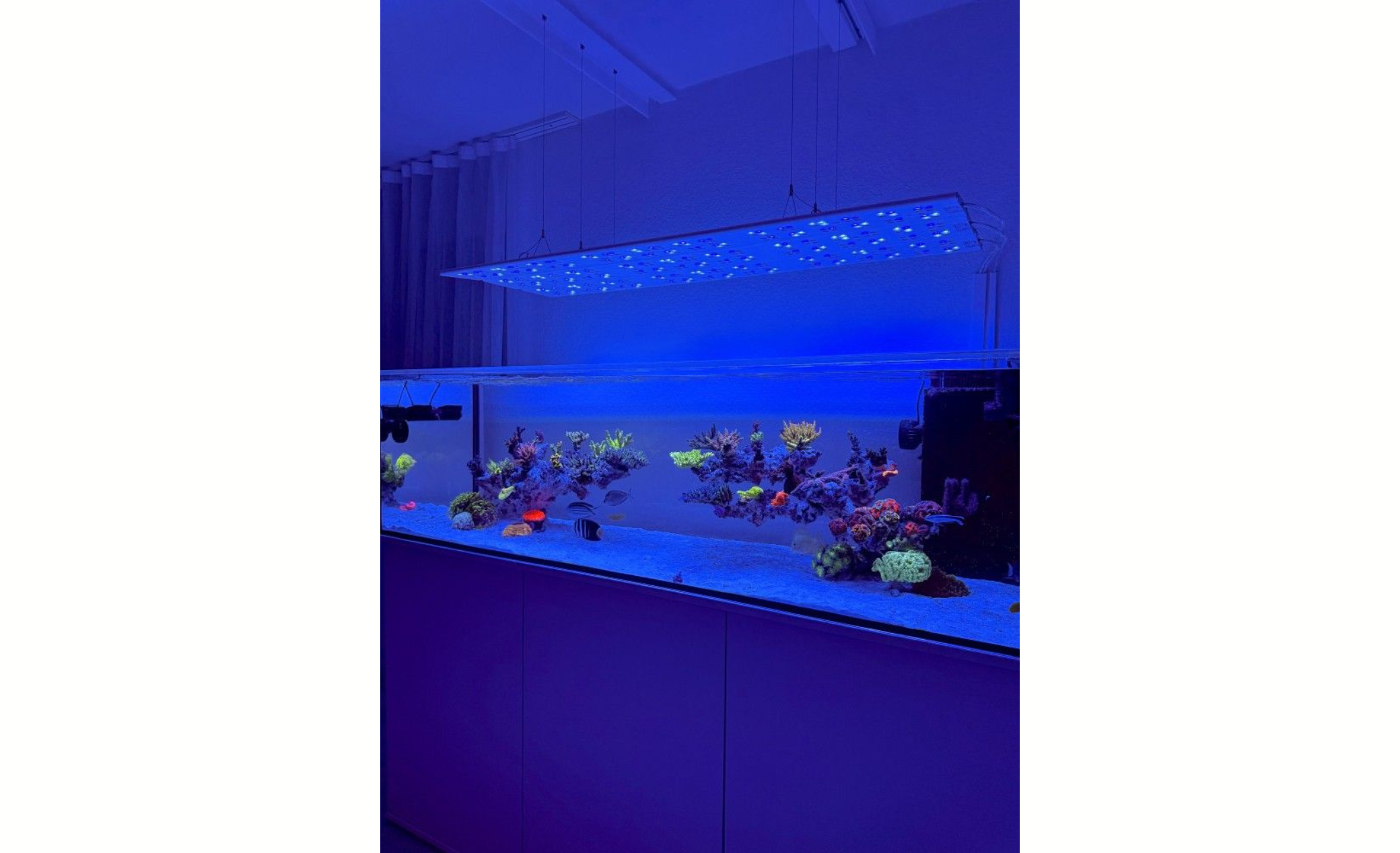 ATI Straton Flex G2 153 LED anthrazit (für Aquarienlängen 145-170cm)