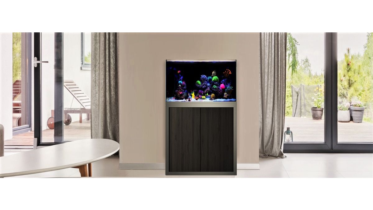 Giesemann LINEA 85/160 Aquarium 160x60x55cm Ohne Leuchten Eigene Farbkombination Titan soft Feinstruktur (+ Aufpreis) Glas hochglanz schwarz