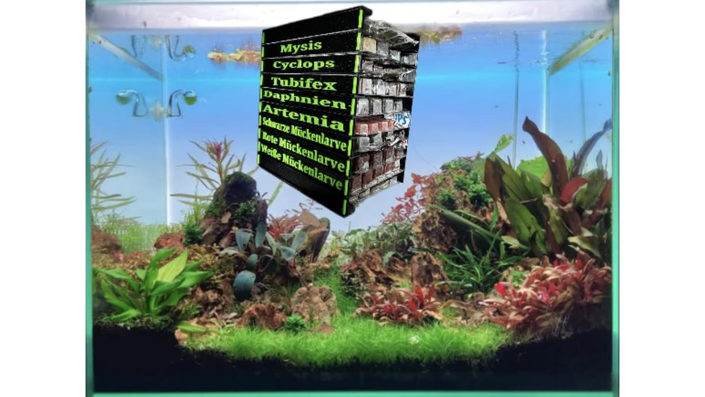 Frostfutterbox Organizer 10-fach inkl. Beschriftung