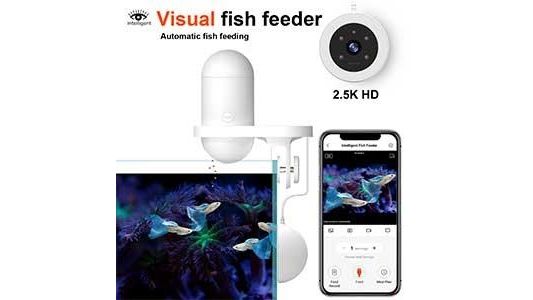 Visual Fish Feeder Futterautomat mit App und Kamera