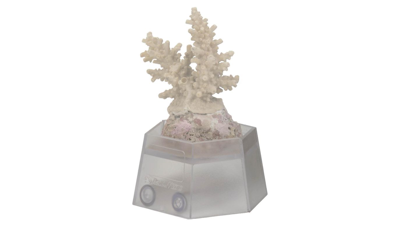 Aqua Medic Korallenhalter