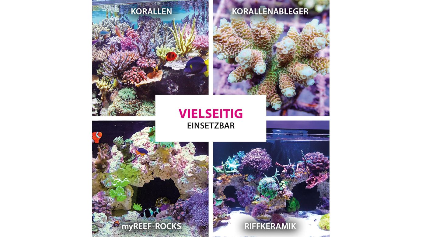 ARKA Coralscaper Gel Korallen Sekundenkleber 50 g