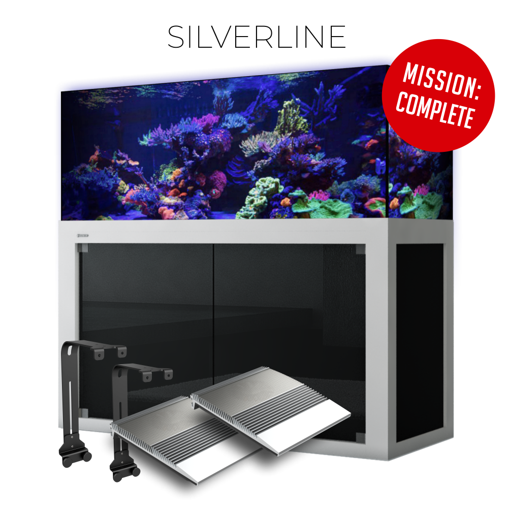 Giesemann LINEA 85/160 Aquarium 160x60x55cm
