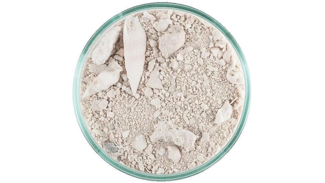 CaribSea Ocean Direct Original Grade (0,25-1mm) 9,07 kg