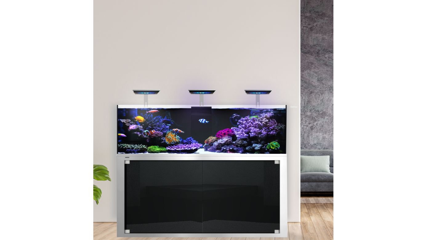 Giesemann LINEA 85/160 Aquarium complete 160x60x55cm SILVERLINE|3x TESZLA evo marine