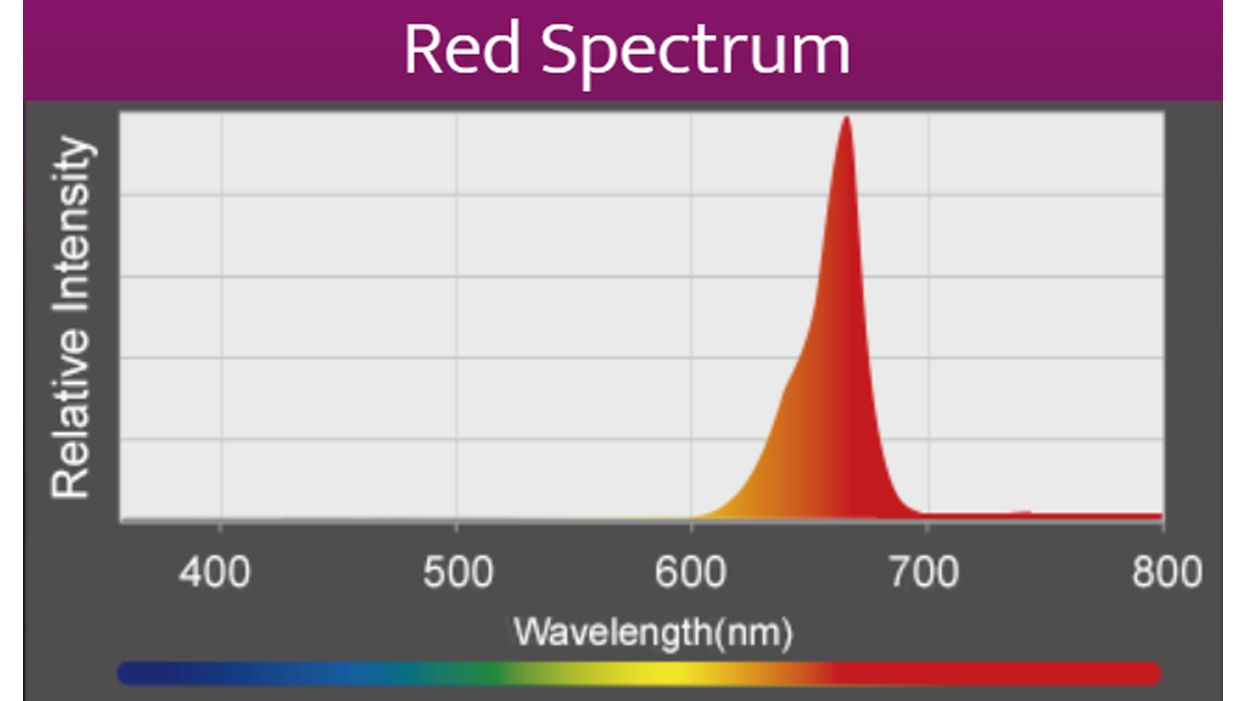 Kessil A360X Refugium LED (max. 90 W)