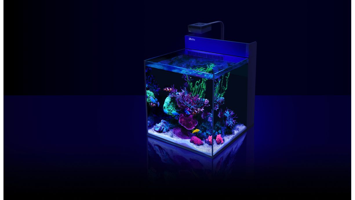 Red Sea MAX NANO G2 XL inkl. weißer Unterschrank (R40081G2)