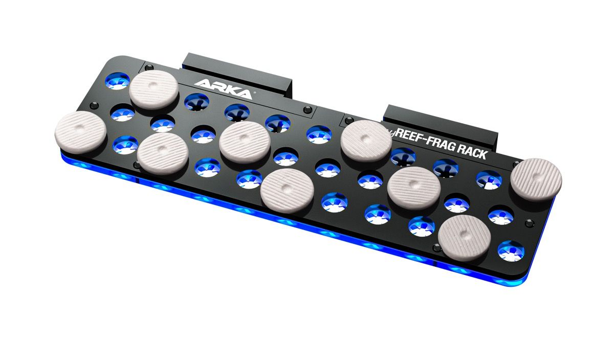 ARKA myReef CoralPlugs Ablegersteine rund 30 mm (12 St.)