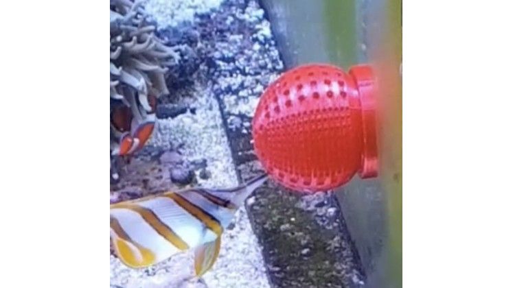 Futterkugel Fütterungshilfe für Pinzettfische schwarz